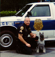 schnauzer working dog