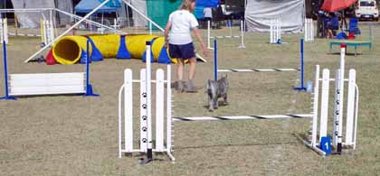 agility
