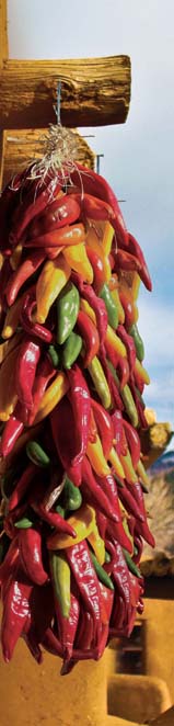 hot peppers